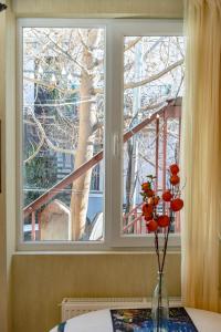 Fotografie z fotogalerie ubytování Old City Center- Adventurous Apt hosted by Giorgio v destinaci Tbilisi City