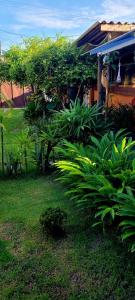 a yard with plants in front of a house at Pousada Shiva São Sebastião 200mts da praia in São Sebastião