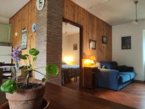 una sala de estar con una planta en una olla en Agriturismo Podere Fiume, en Pratovecchio