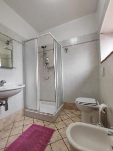 a bathroom with a shower and a toilet and a sink at Agriturismo Podere Fiume in Pratovecchio