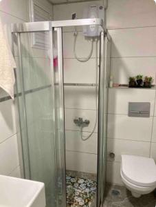 a bathroom with a shower and a toilet at Adana Centrum Flat 1 in Seyhan