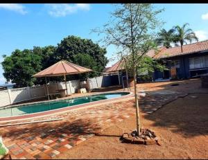 a tree in front of a house with a swimming pool at Mokopane at Freedom City Lodge in Mokopane