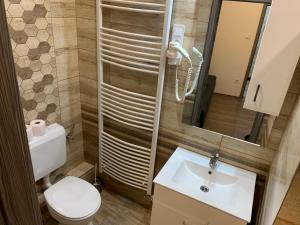 ein Badezimmer mit einem WC, einem Waschbecken und einem Spiegel in der Unterkunft Tiny Apartments in Miskolc