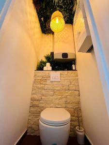 ein kleines Bad mit WC und Waschbecken in der Unterkunft Bel appartement avec Jacuzzi #1 in Bourgoin