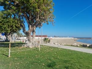 a tree on the beach with a swing at APARTAMENTO CONSTITUCIÓN in Benicarló
