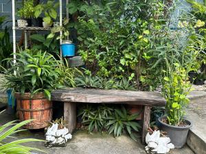 Baanfahsai في Makkasan: كرسي خشبي في حديقة بها نباتات
