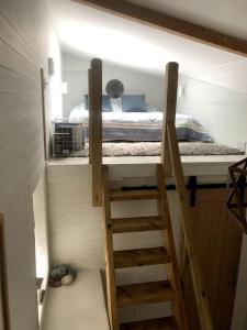 a room with two bunk beds and a ladder at Little Well, stunning setting - 2 acres, dogs welcome in Slapton