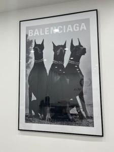 een ingelijste foto van drie honden die naast elkaar staan bij Appartement balenciaga in Échirolles