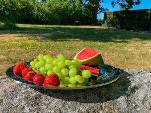 a plate of fruit on top of a rock at Ferienwohnungen Klein Kapelle in Gingst