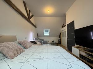 TV a/nebo společenská místnost v ubytování Le Garage des 24 Heure - 10pers - Circuit Bugatti - Rêve au Mans