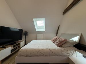 Postel nebo postele na pokoji v ubytování Le Garage des 24 Heure - 10pers - Circuit Bugatti - Rêve au Mans