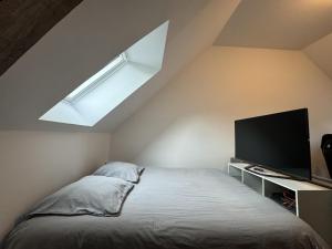 TV a/nebo společenská místnost v ubytování Le Garage des 24 Heure - 10pers - Circuit Bugatti - Rêve au Mans + 17 fotografií