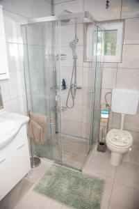 łazienka z prysznicem i toaletą w obiekcie Medeni raj w mieście Mače