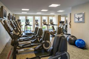 a gym with rows of treadmills and pilates equipment at DoubleTree by Hilton Minneapolis Airport, MN in Bloomington