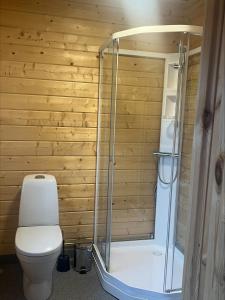 a bathroom with a toilet and a shower at Ylserod Camping in Strömstad