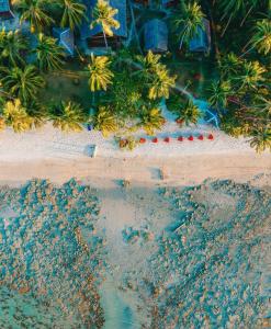 an aerial view of a sandy beach with palm trees at Sunset Colors in San Vicente