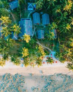 een luchtzicht op een strand met palmbomen en gebouwen bij Sunset Colors in San Vicente