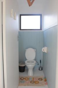 スティル・ベイにあるPlankeplekkieの青い壁に白いトイレがあるバスルーム +32枚の写真