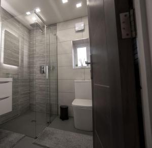 a bathroom with a toilet and a glass shower at The Violet Corner 3, Modern & Comfy 2 Bed Home in Cardiff