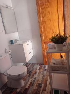ein Badezimmer mit WC und eine Pflanze auf einem Regal in der Unterkunft Casa en la playa, Aldea Coast in San Nicolás