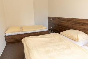 2 camas en una habitación con 2 camas individuales en Horský apartmán přímo u sjezdovky Kouty nad Desnou, en Loučná nad Desnou