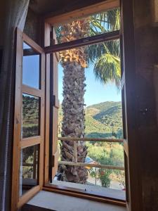 a window with a view of a palm tree at Villa Nama in Kissamos