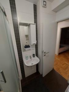 La petite salle de bains est pourvue d'un lavabo et d'une douche. dans l'établissement Apartman city center 4-šetalište, à Prijedor
