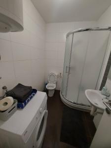 普里耶多爾的住宿－Apartman city center 4-šetalište，带淋浴、卫生间和盥洗盆的浴室