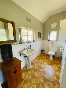 a bathroom with a sink and a toilet at Sugar Farm House in Pietermaritzburg