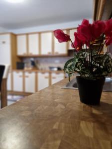 Fotografie z fotogalerie ubytování Apartment LARA v destinaci Sankt Peter am Bichl