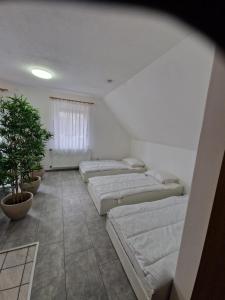 una stanza con quattro letti e una pianta in vaso di Apartment LARA a Sankt Peter am Bichl