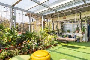 a greenhouse filled with lots of plants at 3BR Apartment by B-Town stays in Dehradun