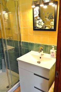 a bathroom with a sink and a shower at Casita Tranquila in Almería