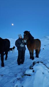 Dýr í sumarhúsinu eða í nágrenninu
