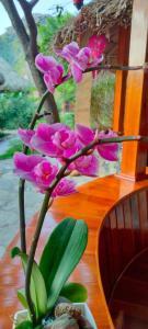 um grupo de flores cor-de-rosa num vaso sobre uma mesa em Hang Mua Eco Garden em Xuân Sơn
