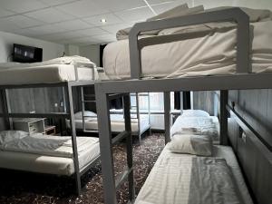 アムステルダムにあるバジェット トリアノン ホテルの二段ベッドが備わるドミトリールームのベッド1台分です。