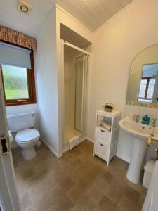 a bathroom with a toilet and a sink and a mirror at Walled Garden Lodges Loch Lomond in Balloch