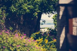 un jardín con flores rosas, árboles y un campo en Walled Garden Lodges Loch Lomond en Balloch