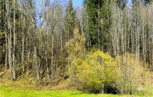 Príroda v okolí apartmánu + 8 fotografií