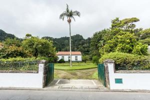 un portail avec un palmier en face d'une maison dans l'établissement Casa das Duas Ribeiras, à Furnas