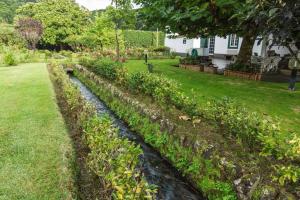 - un jardin avec un ruisseau dans la cour dans l'établissement Casa das Duas Ribeiras, à Furnas