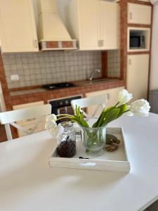 um vaso com flores numa bandeja no balcão da cozinha em Casa Sunshine 2.0 - Vacanze al mare em Punta Braccetto