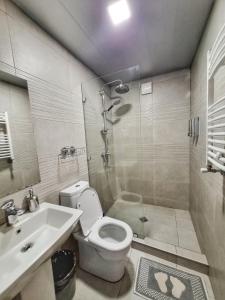 a bathroom with a shower and a toilet and a sink at Sunshine Kazbegi in Stepantsminda