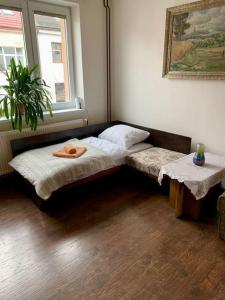 1 cama en la esquina de una habitación en Apartmán POD LAMPOU, en Žďár nad Sázavou