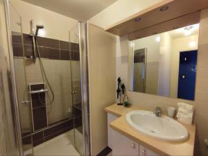 un bagno con doccia, lavandino e doccia di LE DUPLEX DU MARCHÉ a Châteauroux