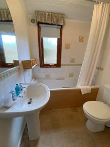 ein Badezimmer mit einem Waschbecken, einer Badewanne und einem WC in der Unterkunft Walled Garden Lodges Loch Lomond in Balloch