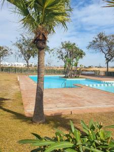 a palm tree next to a swimming pool at Golf Las Terrazas de La Torre LRVDM House in Roldán