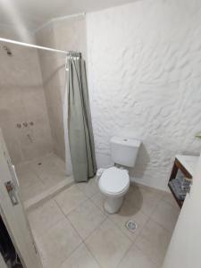 a bathroom with a toilet and a shower at Departamento Temporario Bianchi in Santiago del Estero