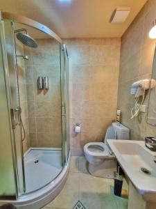 a bathroom with a shower and a toilet and a sink at Sunshine Kazbegi in Stepantsminda