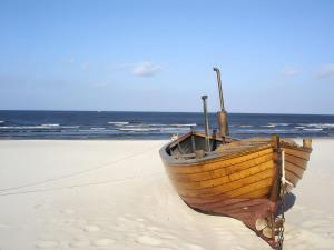 Příroda nedaleko vily